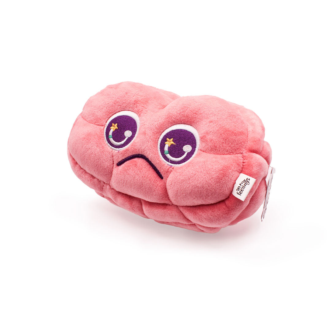 Brain