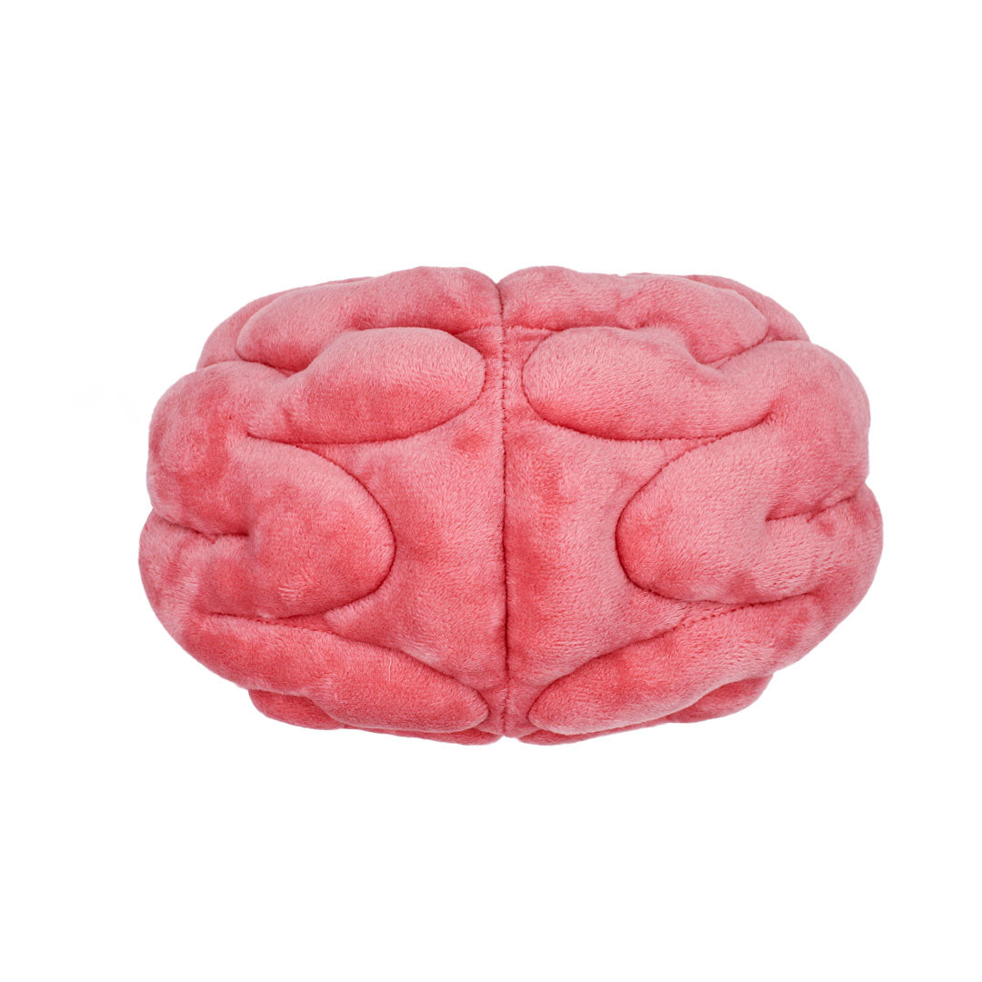 Brain plush online